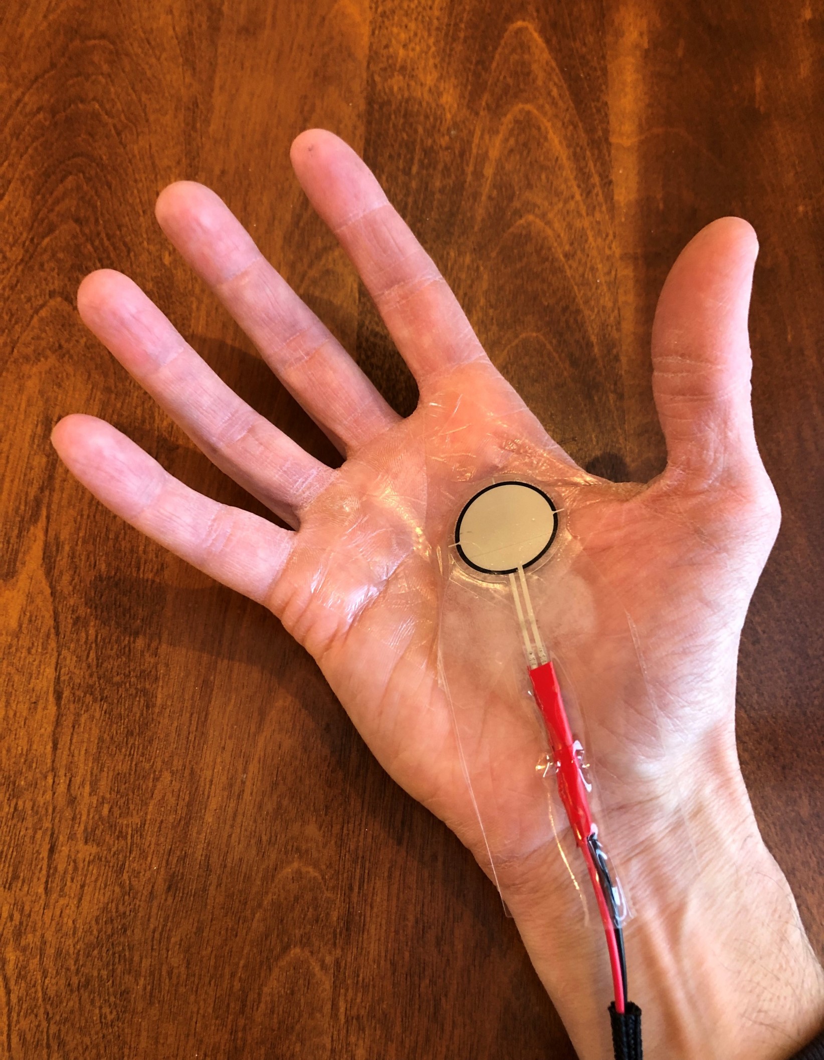 Hand Sensor-cropped